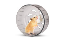 Graužikams Graužikams