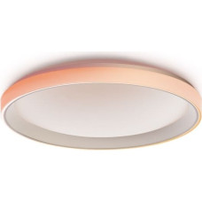 Aqara Ceiling Light T1M Smart Ceiling Light
