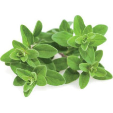 Click & Grow Smart Garden refill Marjoram 3pcs