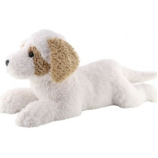 Madej Havanesa Dog lying down 60 cm