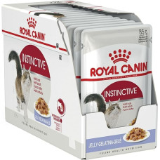Royal Canin FHN Instinctive in jelly - wet food for adult cats - 12x85g