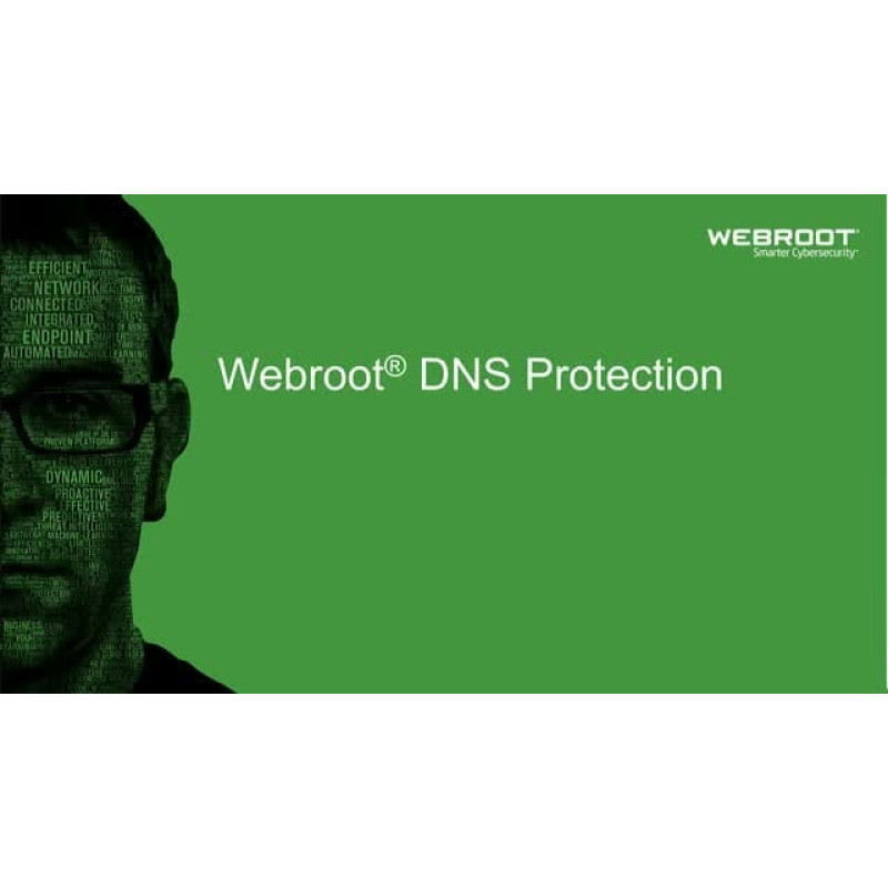 Webroot | DNS Protection with GSM Console | 1 year(s) | License quantity 1-9 user(s)