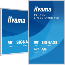 Iiyama 55