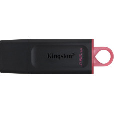 Kingston MEMORY DRIVE FLASH USB3.2/256GB DTX/256GB KINGSTON