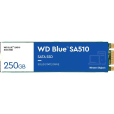 WD Western Digital Blue SA510 250 GB M.2 Serial ATA III