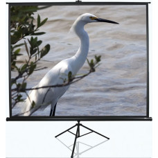 Elite Screens | Tripod Series | T100UWV1 | Diagonal 100 