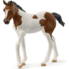Schleich HORSE CLUB Paintų veislės kumeliukas