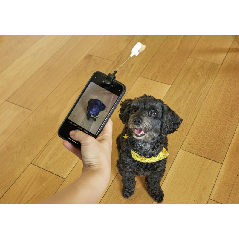 Kikkerland Dog Treat Selfie Clip (DIG01)
