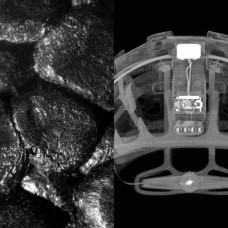 POC PC108688827SML1 sports headwear Orange, White