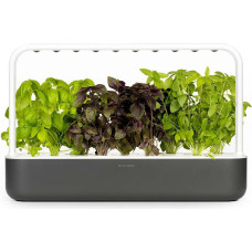 Click & Grow Click and Grow - Smart Garden 9 Starter kit (Color: Dark Gray) (SG9S8UNI)