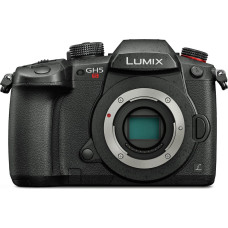 Panasonic Lumix DC-GH5S body
