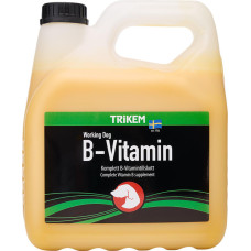 Trikem - B-Vitamin 3L - (721.2023)