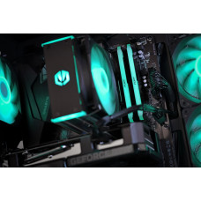 Actina 5901443453093 PC AMD Ryzen™ 5 7500F 16 GB DDR5-SDRAM 500 GB SSD NVIDIA GeForce RTX 5060 Midi Tower Black