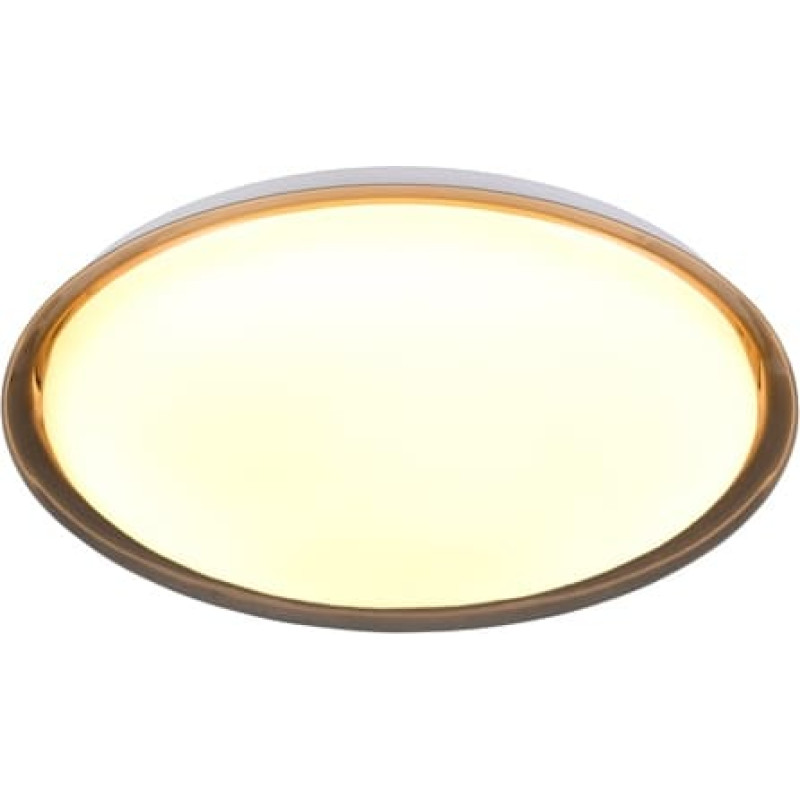 Reality Trio Ceiling Light, 20W, 3000K, 2600lm, Ø38