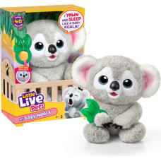 Little Live Pets - My Baby Koala (26840)