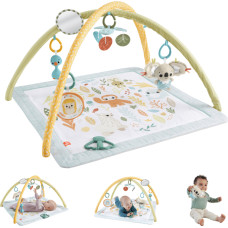 Fisher-Price Fisher Price Newborn – Simply Senses newborn Gym (HRB15)