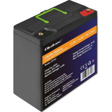 Qoltec 53702 LiFePO4 lithium iron phosphate battery | 12.8V | 24Ah | 307.2Wh | BMS