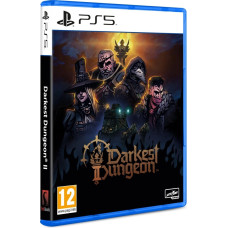 DARKEST DUNGEON 2 PS5
