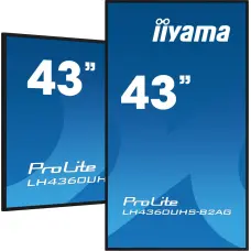 Iiyama 43