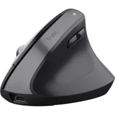 Trust Bayo+ mouse Office Right-hand RF Wireless + Bluetooth Optical 2400 DPI